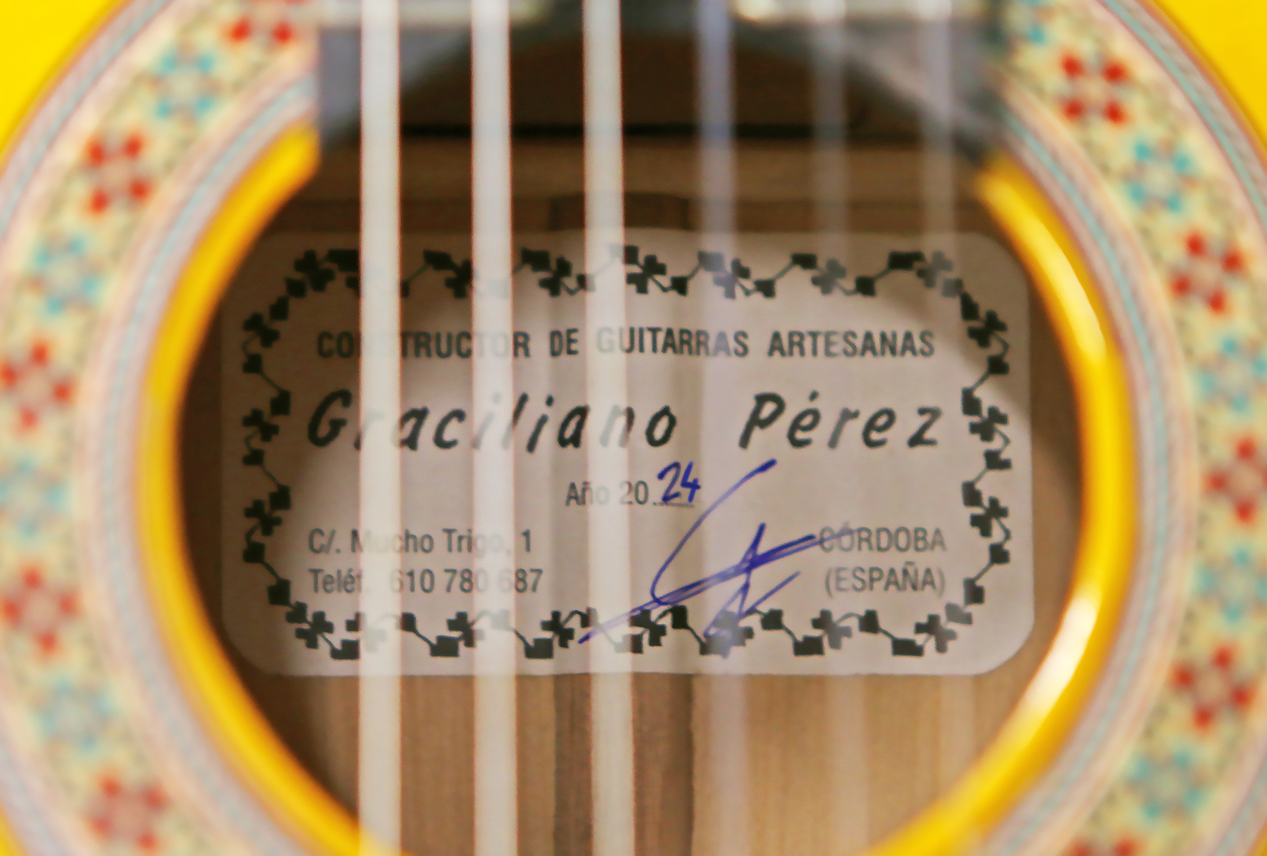 Vicente amigo signature guitar hotsell